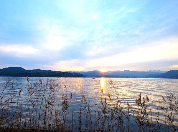 東郷湖エリア