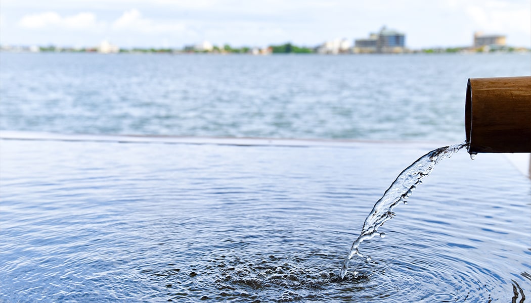 風樹の湯